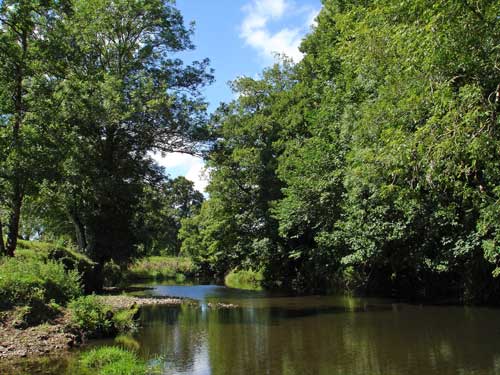 river Taw near Chulmleigh