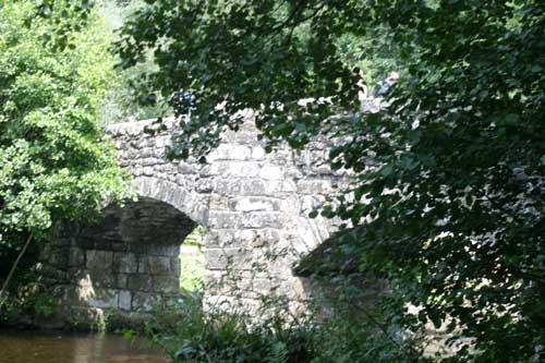 Fingle bridge