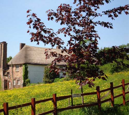 Upton Hellions Barton, near Crediton