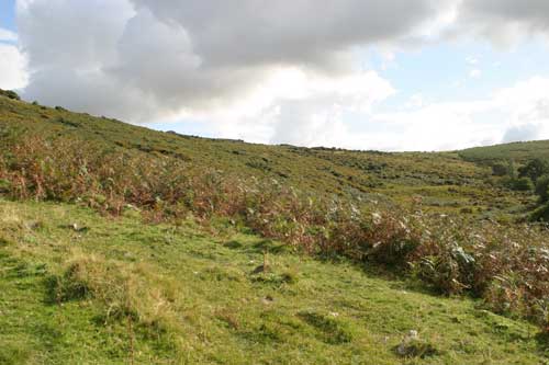 open moor