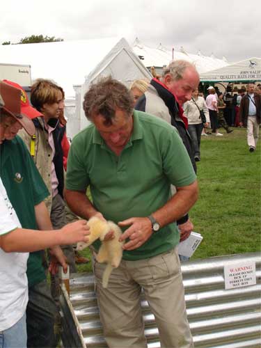 ferrets at the Okehampton Show 2006
