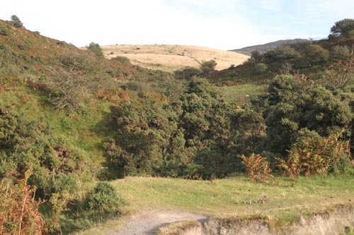 Quarry Park, near Okehampton